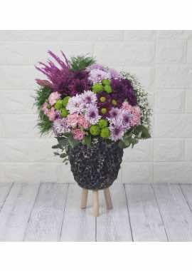 Siyah Meteor Vazoda Chrysanthemum Bahçesi
