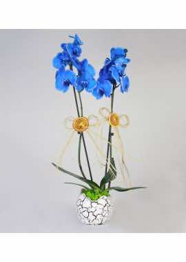 Dekoratif Yumurta İçinde 2 Dal Mavi Orkide