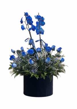 Silindir Kutuda Mavi Orkide ve Mavi Gül Aranjmanı