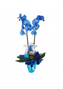 İthal Çift Dallı Mavi Orkide 8