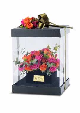 Maggiore Colours Roses