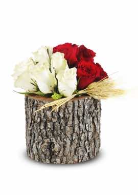 Red and White Roses