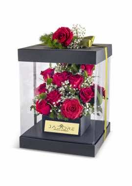 Santo Domingo Red Roses